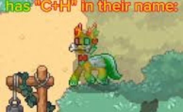What Does "C H" Mean in PonyTown